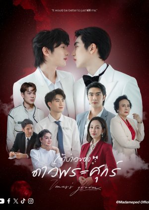 Venus’s Groom (2026)