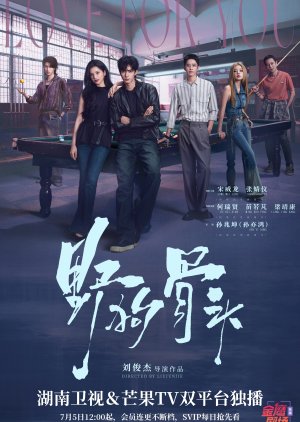 Love for You (2026)